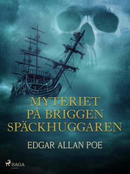 Myteriet på briggen Späckhuggaren, Edgar Allan Poe