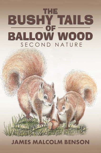 Bushy Tails of Ballow Wood, James Malcolm Benson