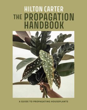 The Propagation Handbook, Hilton Carter