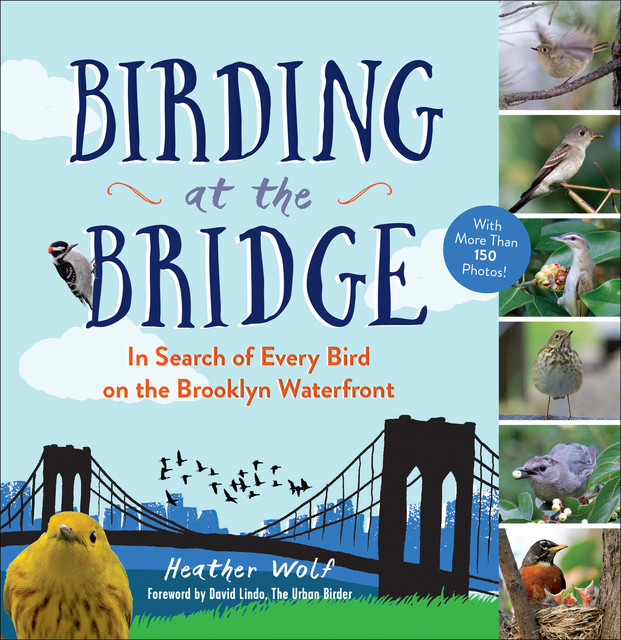 Birding at the Bridge, Heather Wolf