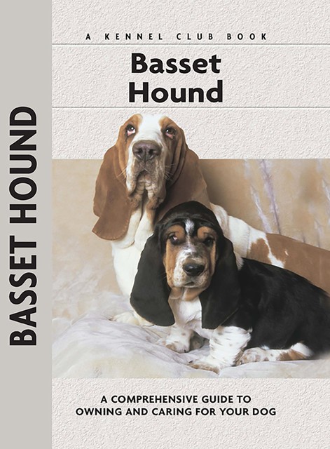 Basset Hound, Betty A. Stenmark