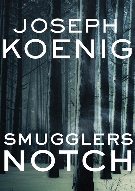 Smugglers Notch, Joseph Koenig