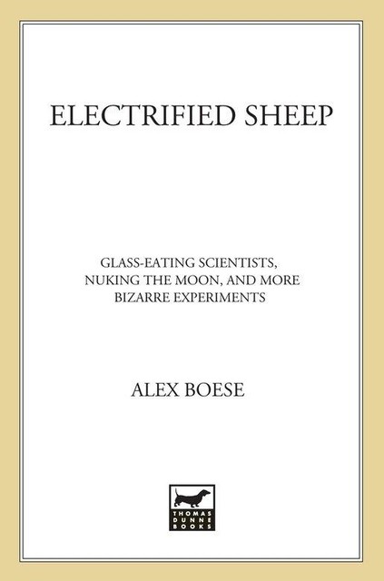 Electrified Sheep, Boese Alex