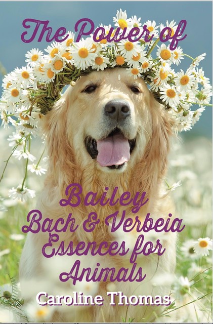 The Power of Bailey, Bach and Verbeia Essences for Animals, Caroline Thomas