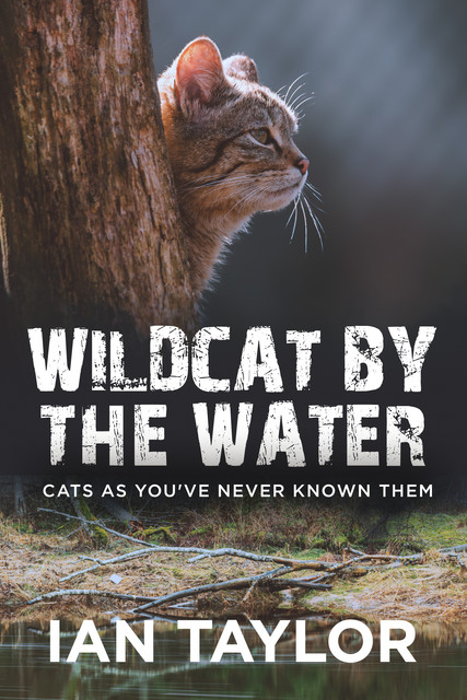 Wildcat By The Water, Ian Taylor