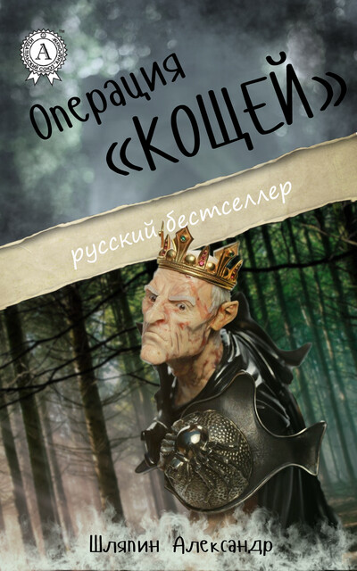 Операция Кощей, Александр Шляпин