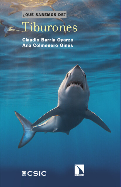 Tiburones, Ana Colmenero Ginés, Claudio Barría Oyarzo