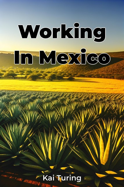 Working In Mexico, Kai Turing