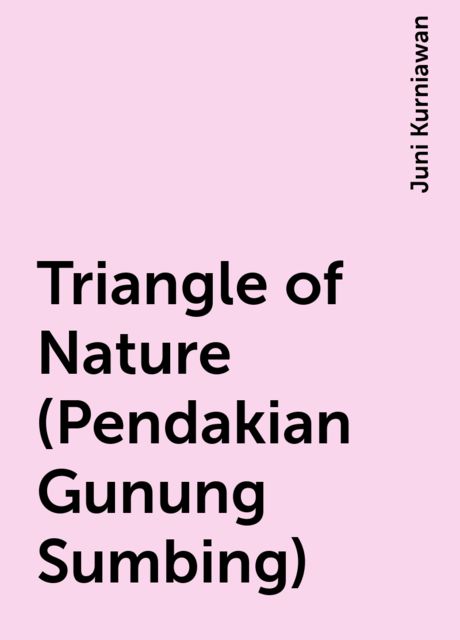 Triangle of Nature (Pendakian Gunung Sumbing), Juni Kurniawan