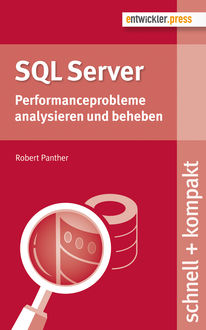 SQL Server, Robert Panther