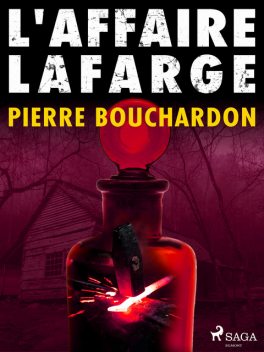 L'Affaire Lafarge, Pierre Bouchardon