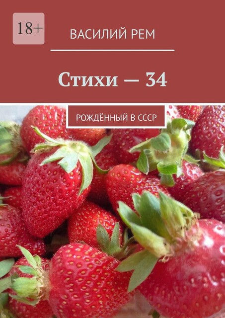 Стихи — 34. Рожденный в СССР, Василий РЕМ