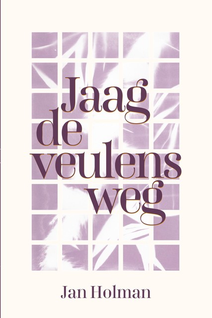 Jaag de veulens weg, Jan Holman