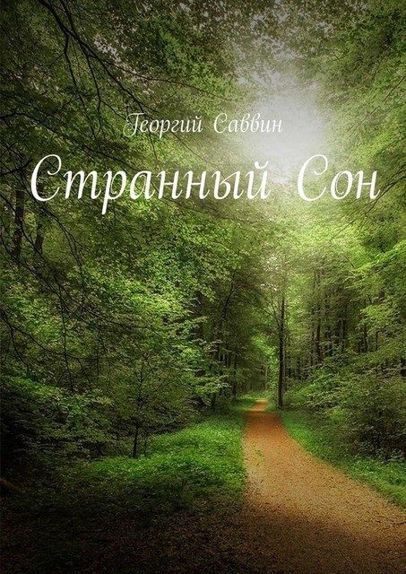 Странный Сон, Георгий Саввин