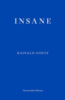 Insane, Rainald Goetz