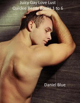 Juicy Gay Love Lust Quickie Reads Books 1 to 6, Daniel Blue