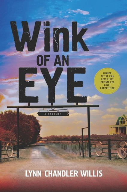 Wink of an Eye, Lynn Chandler Willis