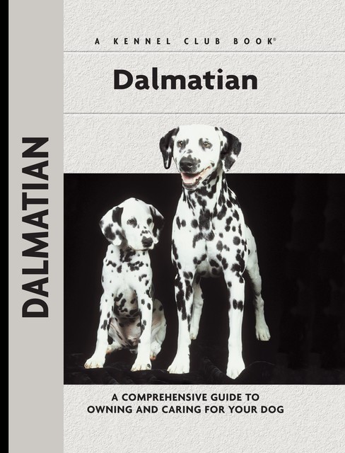 Dalmatian, Frances Camp