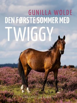 Den første sommer med Twiggy, Gunilla Wolde