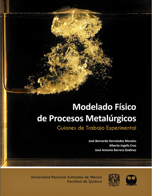 Modelado Físico de Procesos Metalúrgicos. Guiones de Trabajo Experimental, Alberto Ingalls Cruz, José Antonio Barrera Godínez, José Bernardo Hernández Morales