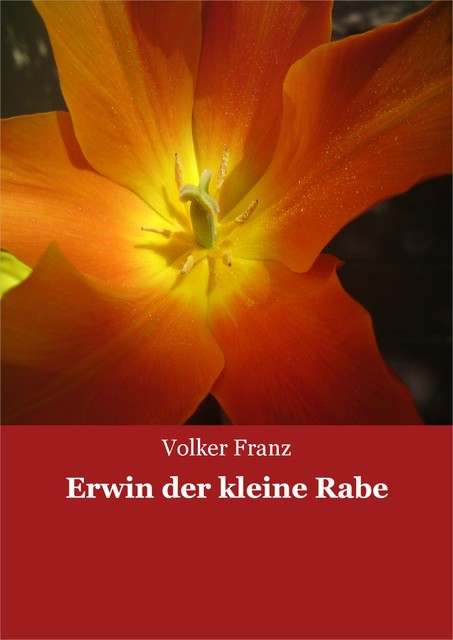 Erwin der kleine Rabe, Volker Franz