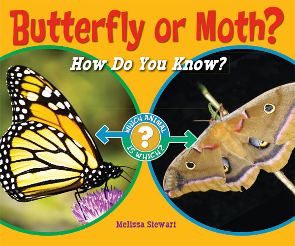 Butterfly or Moth?, Melissa Stewart