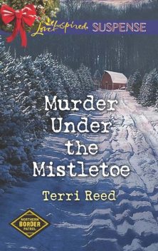 Murder Under The Mistletoe, Terri Reed