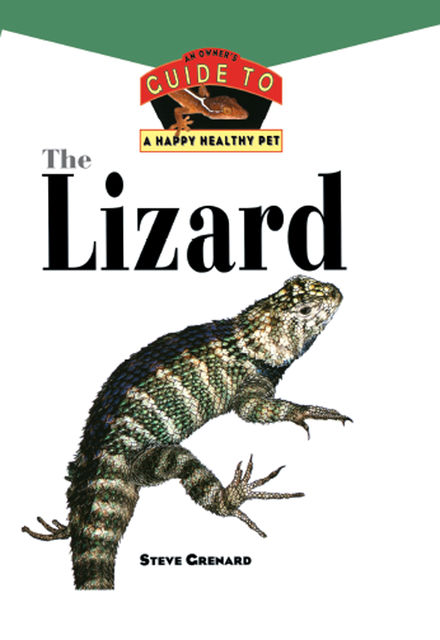 The Lizard, Steve Grenard
