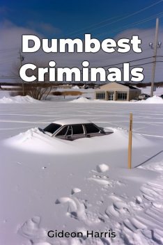 Dumbest Criminals, Gideon Harris