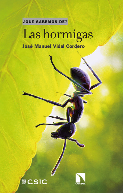 Las hormigas, José Manuel Vidal Cordero
