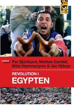 Revolution i Egypten, Mattias Gardell, Jan Hjärpe, Bitte Hammargren, Per Björklund