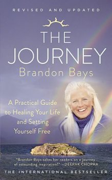The Journey, Brandon Bays