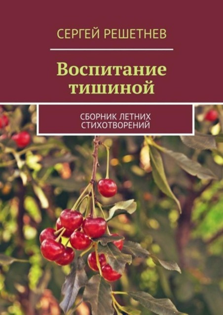 Воспитание тишиной, Сергей Решетнёв