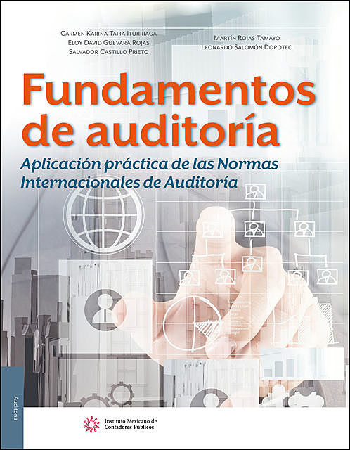 Fundamentos de auditoría. Aplicación práctica de las Normas Internacionales de Auditoría, Carmen Karina Tapia Iturriaga