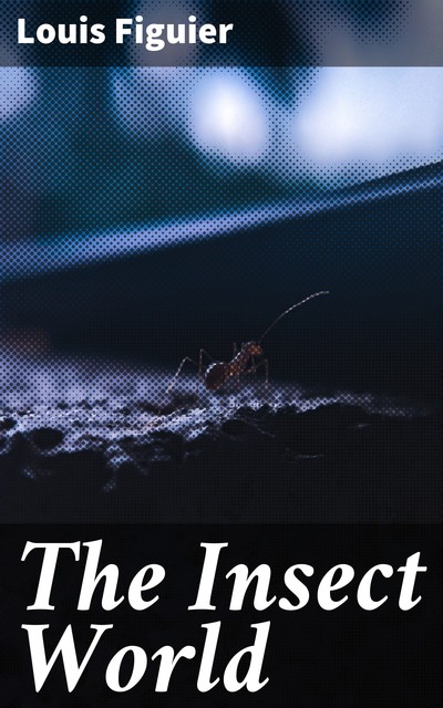 The Insect World, Louis Figuier