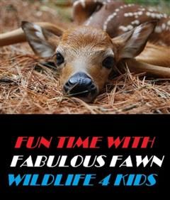 Fun Time With Fabulous Fawn Wildlife 4 Kids, Animal, Nature 4 Kids