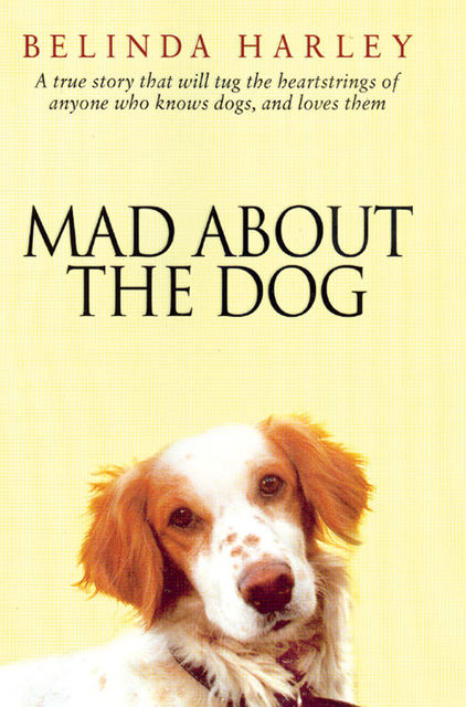 Mad about the Dog, Belinda Harley