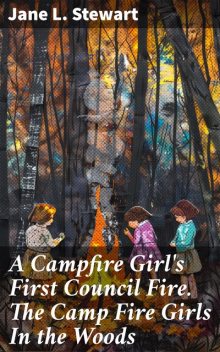 Camp Fire Girls in the Woods, Jane L.Stewart