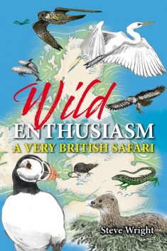 Wild Enthusiasm, Steve Wright