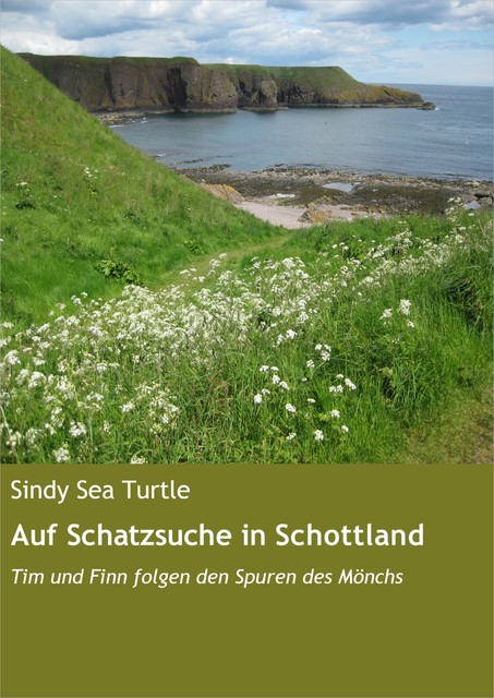 Auf Schatzsuche in Schottland, Sindy Sea Turtle