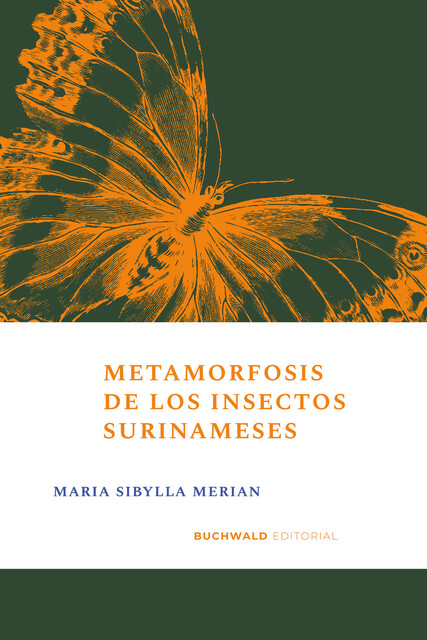 Metamorfosis de los insectos surinameses, Maria Sibylla Merian