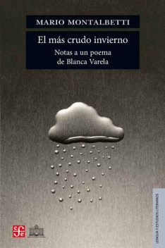 El más crudo invierno, Mario Montalbetti
