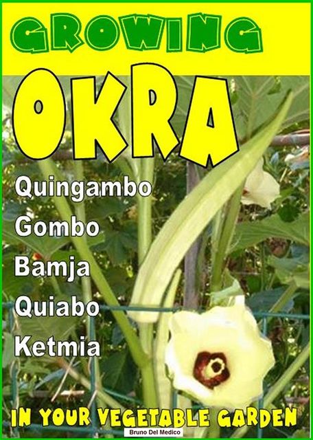 Growing Okra in your vegetable garden, Bruno del Medico, Illustratrice Elisabetta Del Medico