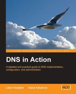 DNS in Action, Alena Kabelova, Libor Dostalek