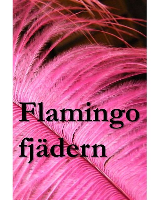 Flamingofjädern, Kirk Munroe