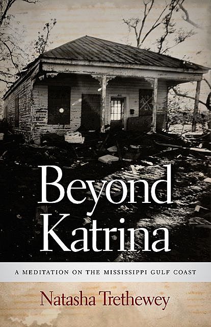 Beyond Katrina, Natasha Trethewey
