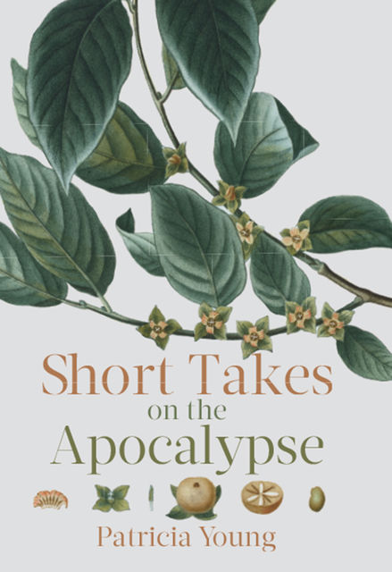 Short Takes on the Apocalypse, Patricia Young