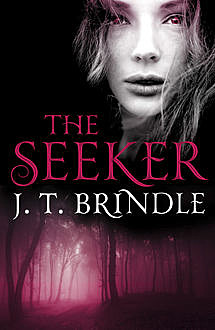 The Seeker, J.T.Brindle