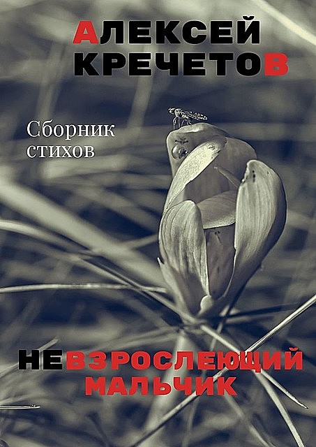 Невзрослеющий мальчик, Алексей Кречетов