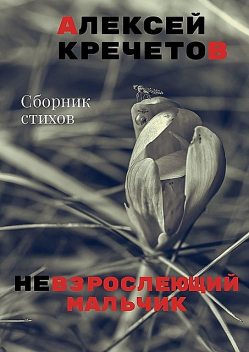 Невзрослеющий мальчик, Алексей Кречетов